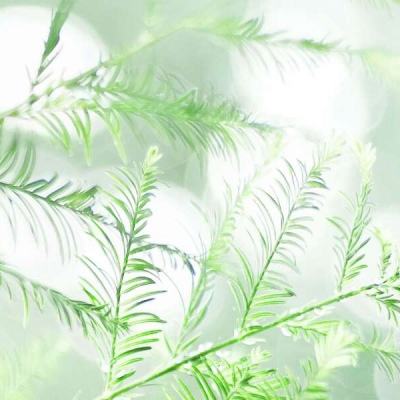 放开呐三国手游最新版下载